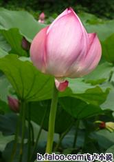 欧亿体育:产品6